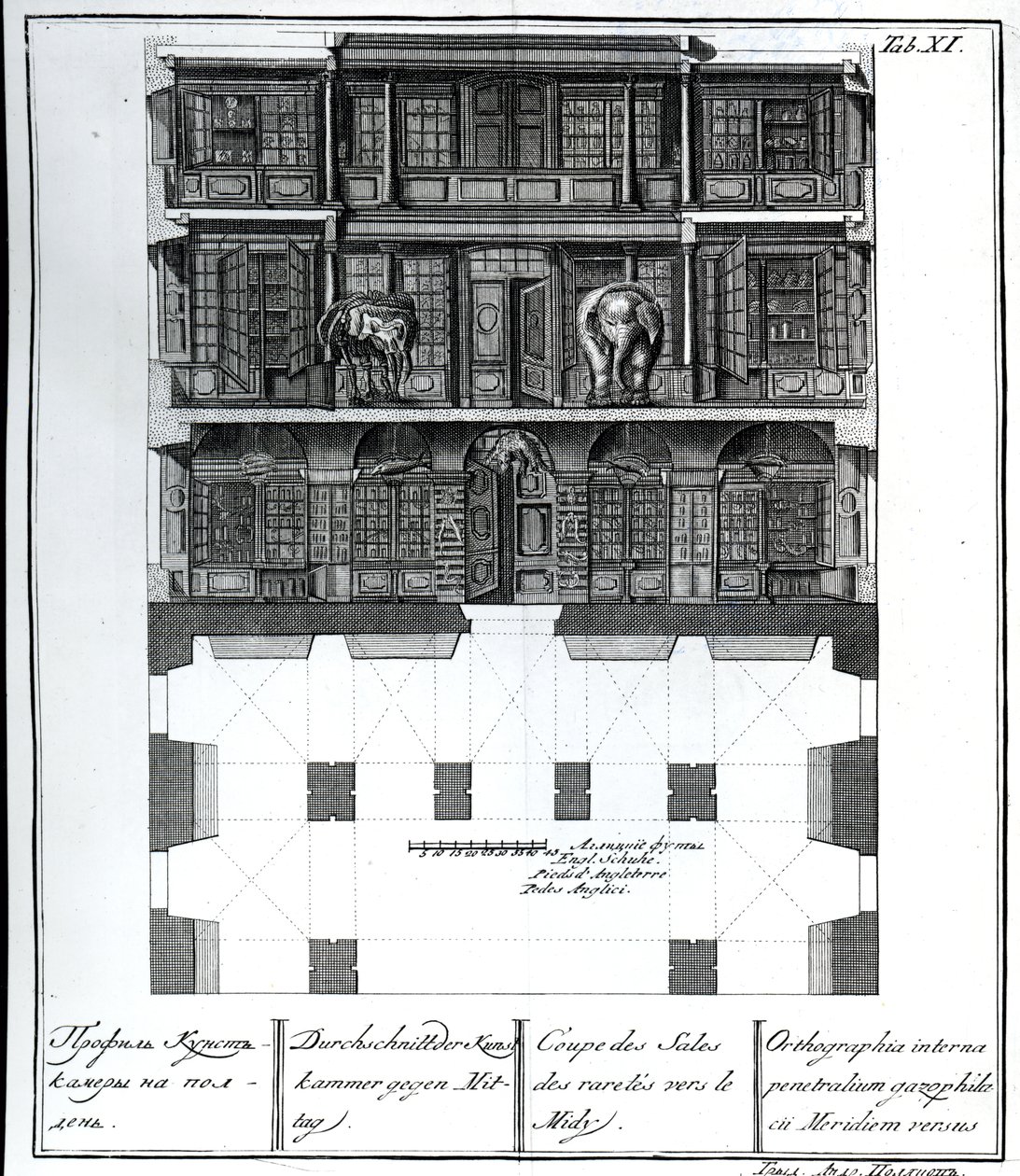 Vista in sezione della Sala delle Rarità verso sud, illustrazione nelle Camere della Biblioteca e Galleria dell