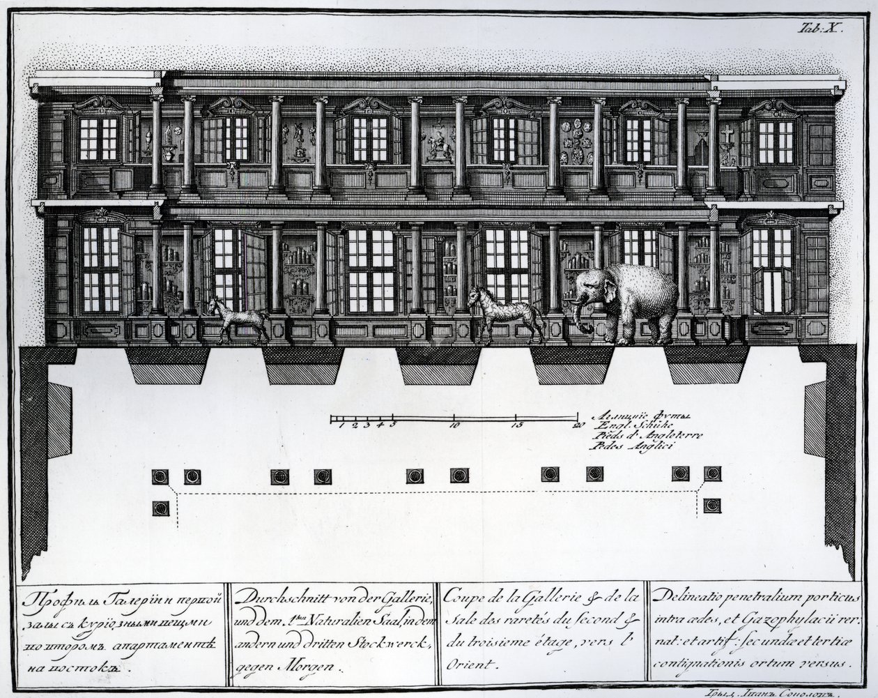 Vista in sezione del secondo e terzo piano della Sala delle Rarità verso est, illustrazione nelle Camere della Biblioteca e Galleria dell