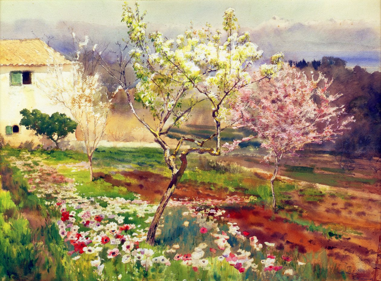Primavera in Francia da Ruth Mercier
