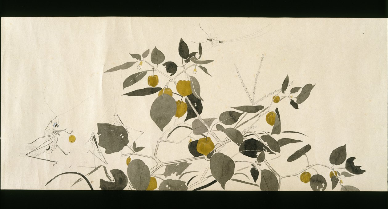 Amici della fauna selvatica (Yasei no Tomo), Periodo Taisho, Anno 7 Taisho, c.1918 da Ryoka Kawakami