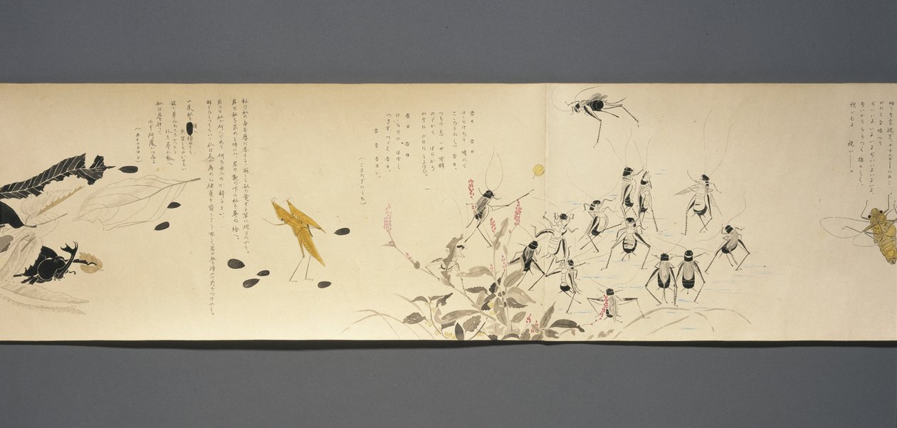 Amici della fauna selvatica (Yasei no Tomo), Periodo Taisho, Anno 7 Taisho, c.1918 da Ryoka Kawakami