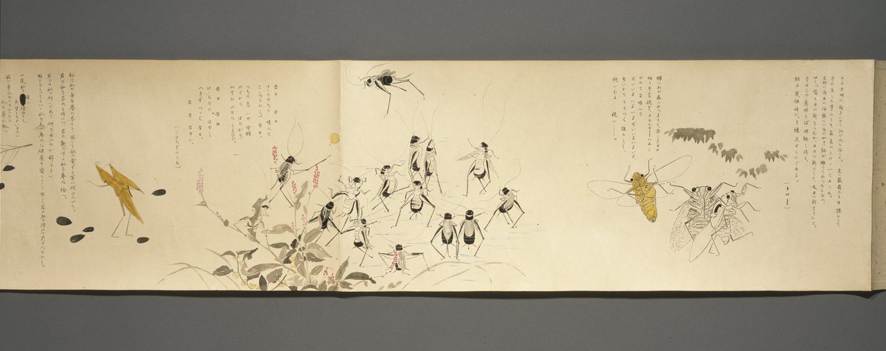 Amici della fauna selvatica (Yasei no Tomo), Periodo Taisho, Anno 7 Taisho, c.1918 da Ryoka Kawakami