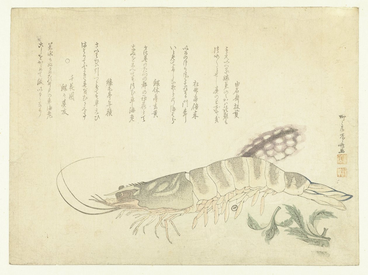 Gambero e seppia da Ryuryukyo Shinsai