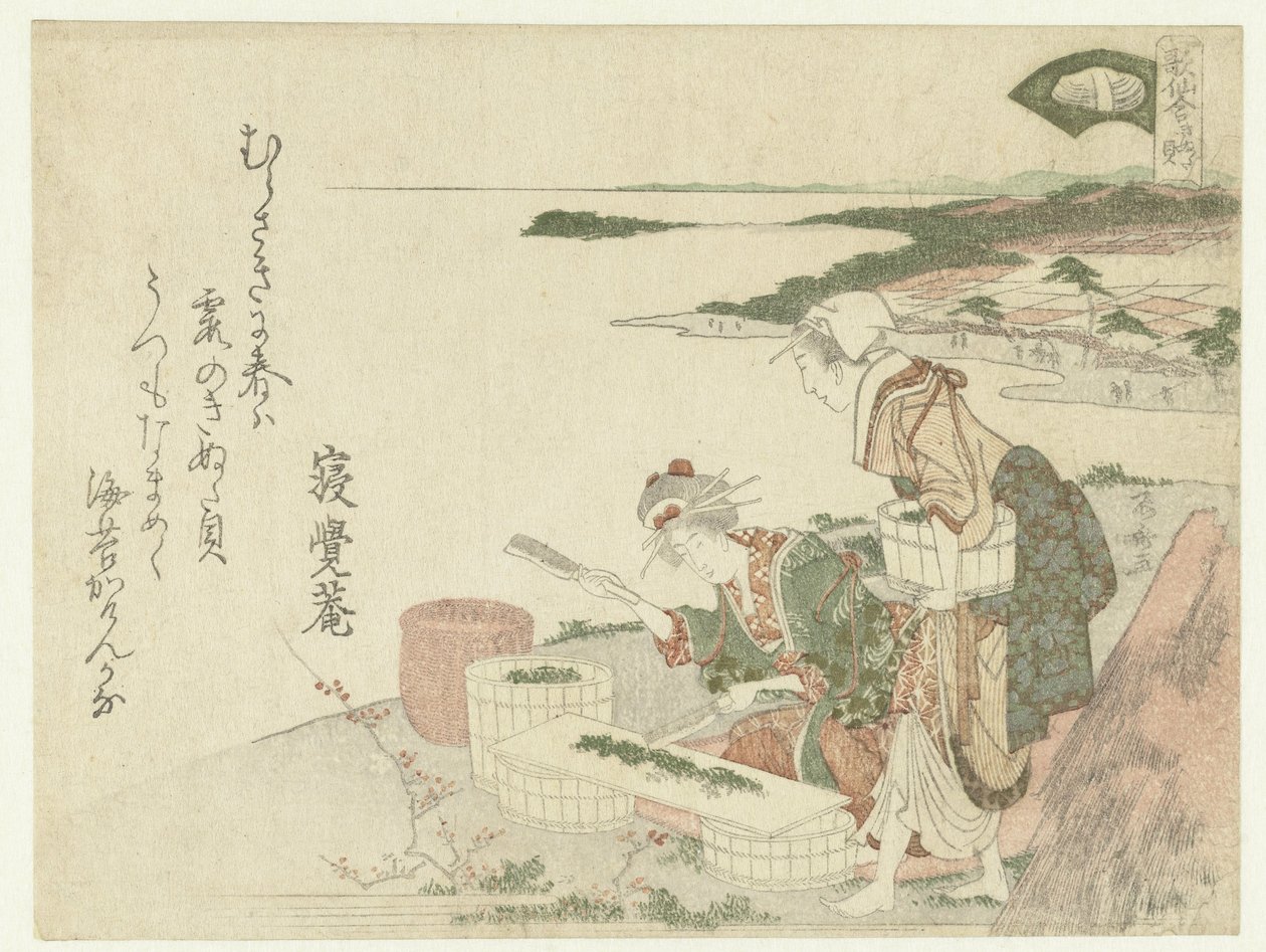 Blocco di follatura da Ryuryukyo Shinsai
