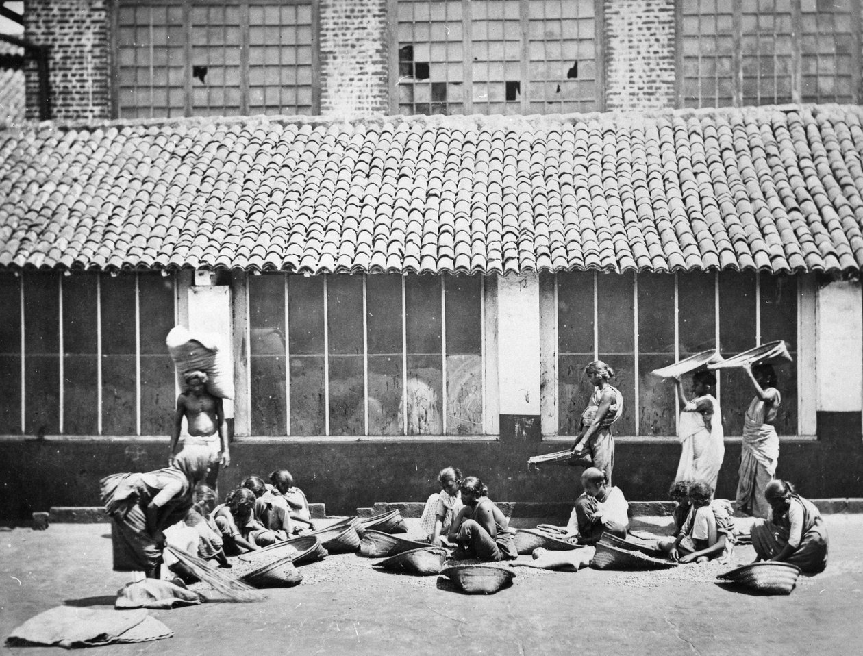 Pulizia e selezione del caffè, Colombo, 1870 da S. and Shepherd, C. Bourne