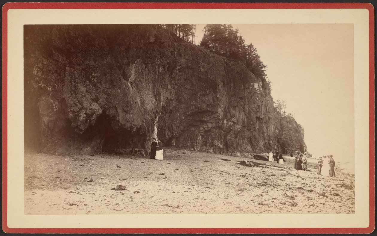 [Gruppo di persone sul litorale vicino alle scogliere, forse a Mt. Desert, Maine]. da S.R. Stoddard