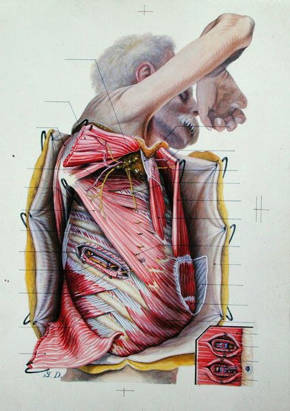 Dissezione della faccia laterale destra del torace, da un libro di anatomia da S. Dupret
