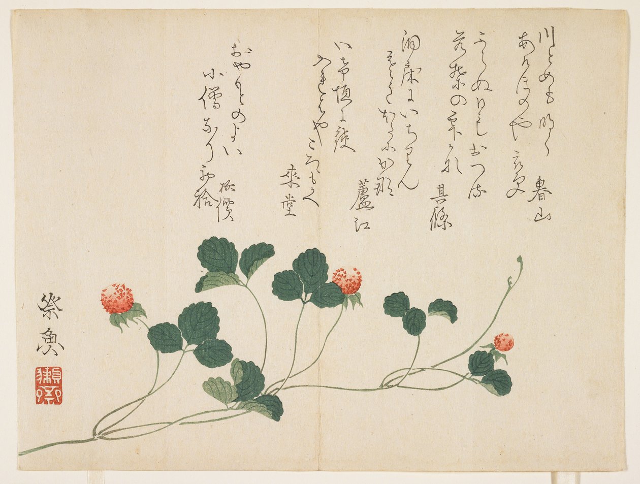 Lamponi da Saigyo