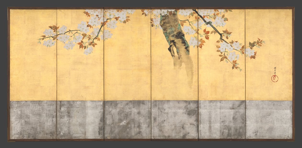 Ciliegi in fiore da Sakai Hoitsu