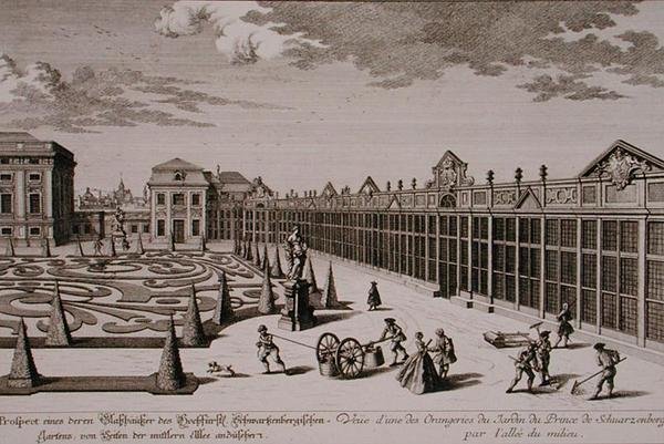 Veduta di una delle aranciere nel giardino del Principe di Schwarzenberg, Vienna, inciso da Georg-Daniel Heumann, pubblicato c.1724-37 da Salomon (after) Kleiner