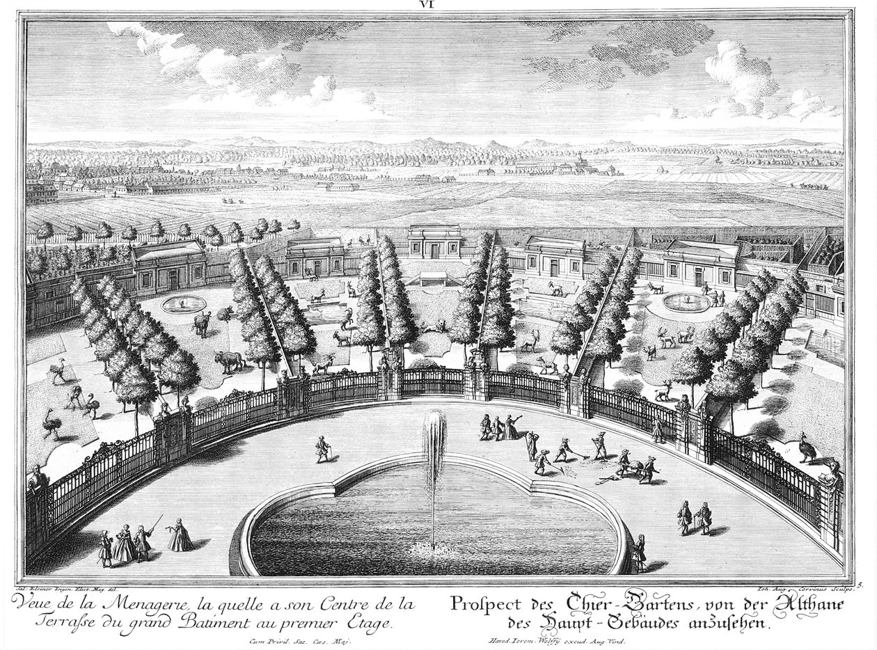 Vista del Tiergarten da Salomon Kleiner