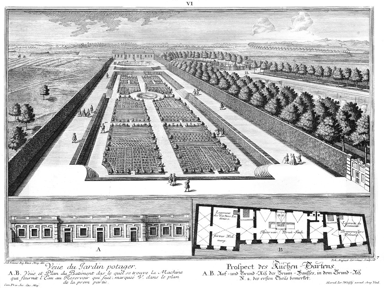 Prospetto del giardino della cucina, pianta e sezione della casa della fontana da Salomon Kleiner