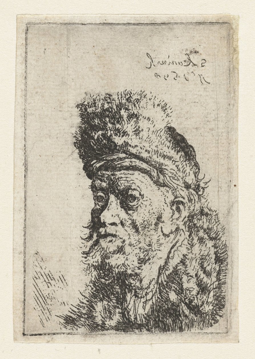 Busto di un uomo con cappello di pelliccia da Salomon Koninck