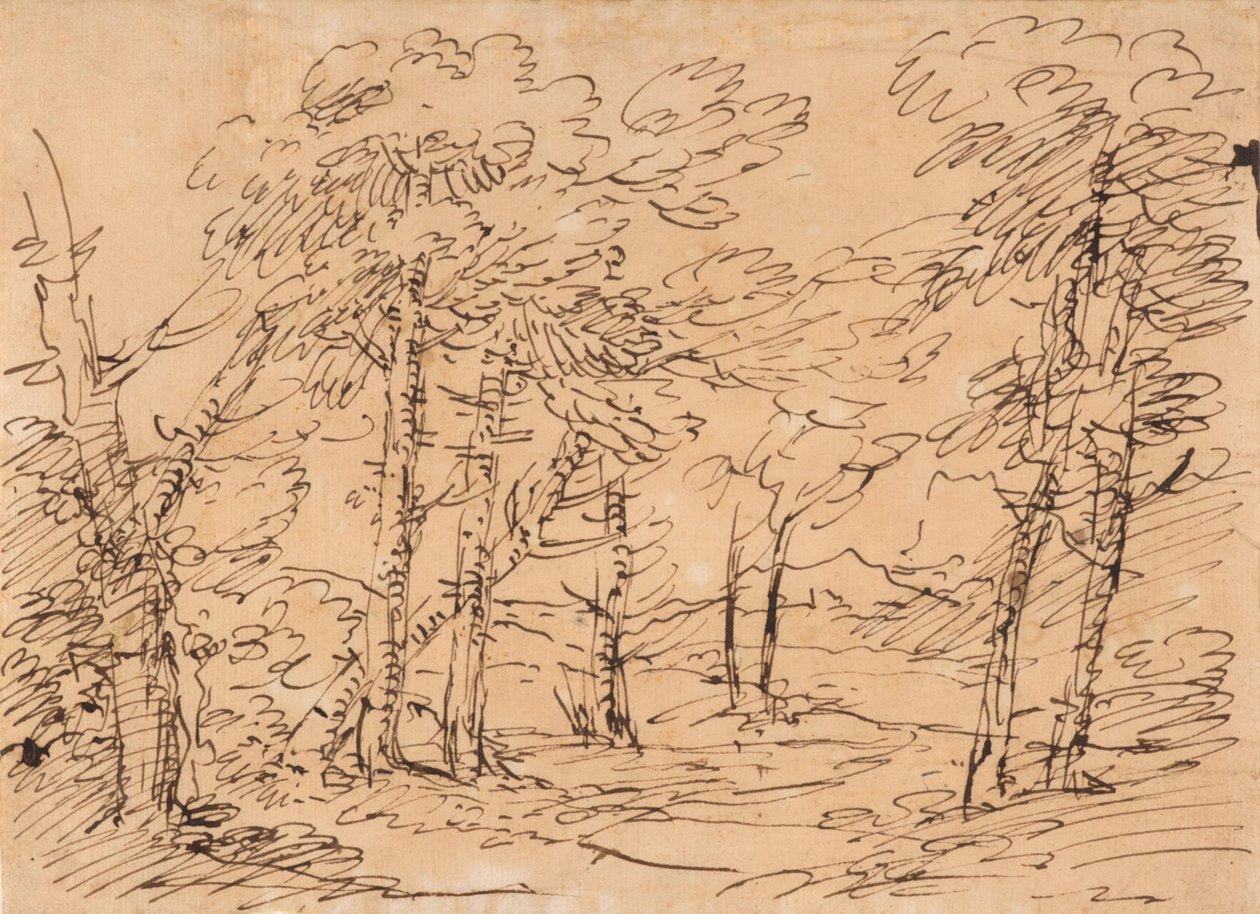 Paesaggio con alberi e montagne sullo sfondo da Salvator Rosa