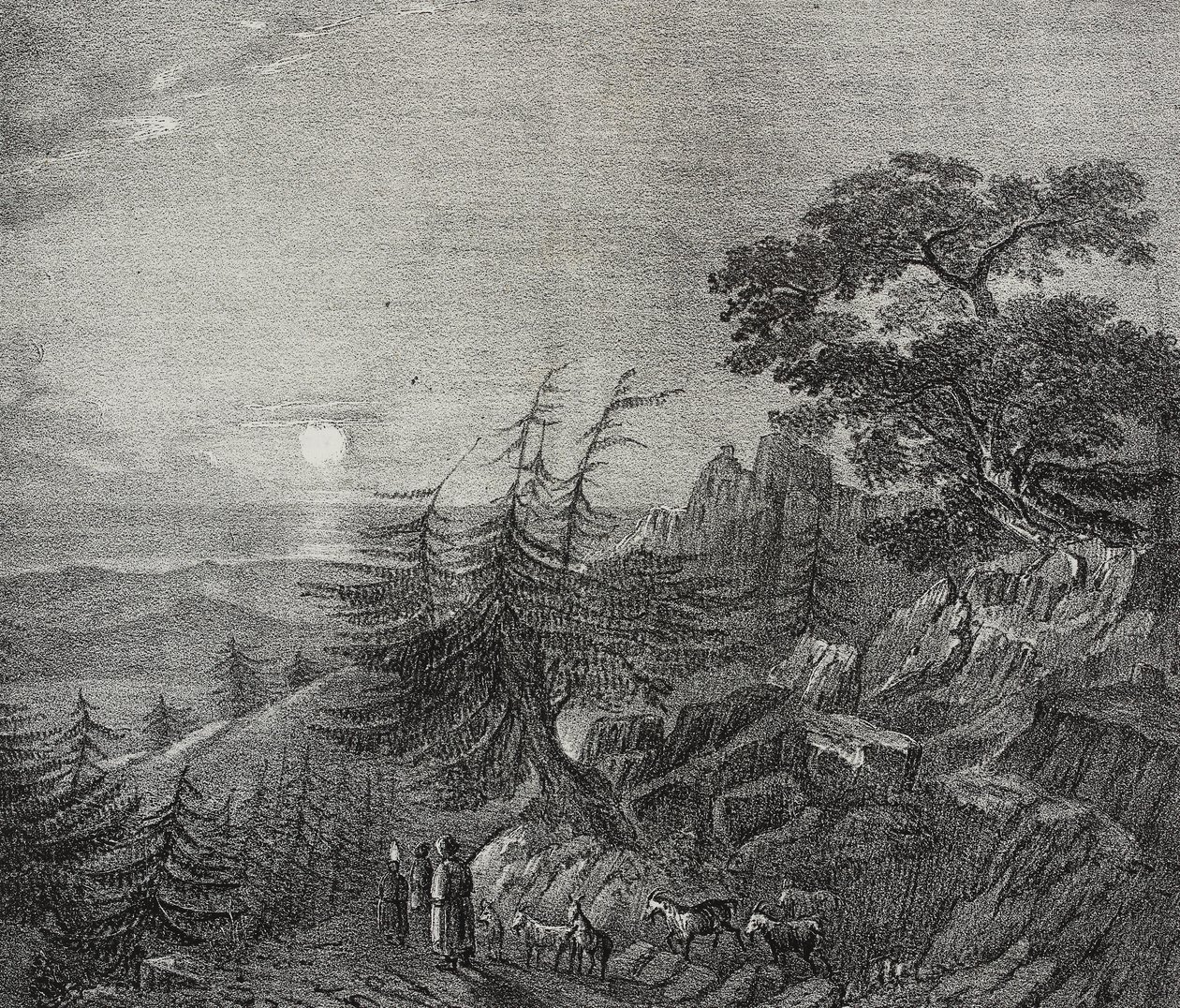 Paesaggio della foresta di Cedri sul Monte Libano, vicino a Beirut, Libano, litografia di Salvatore Puglia da Poliorama Pittoresco, n.11, 22 ottobre da Salvatore Puglia