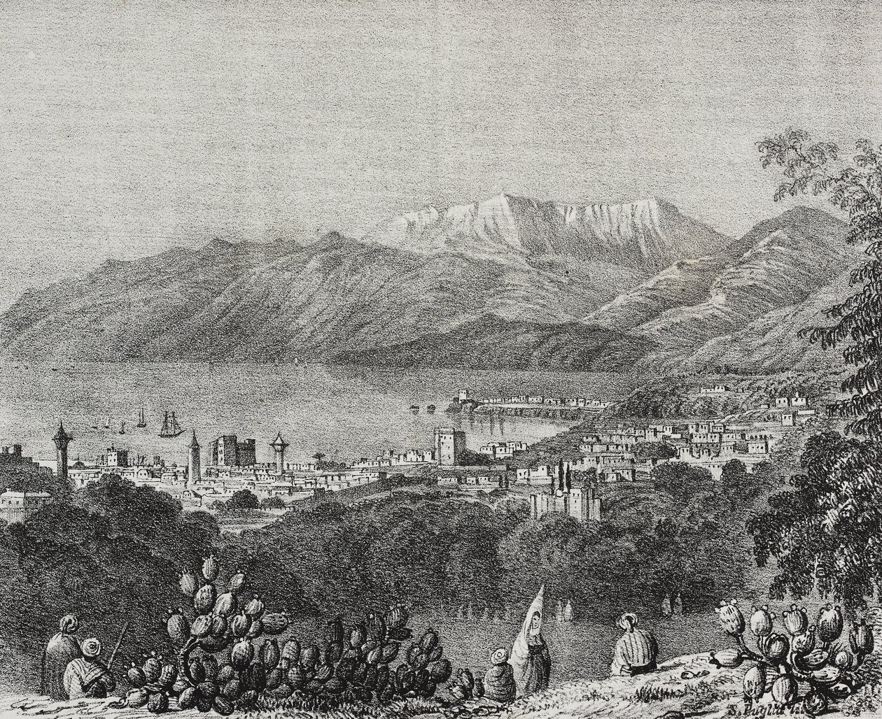 Veduta di Beirut e della catena del Monte Libano, Libano, da Poliorama Pittoresco, n. 8, 1 ottobre da Salvatore Puglia