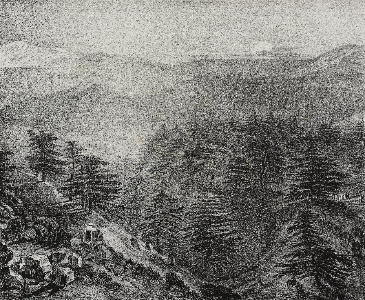 Vista del Monte Libano con i suoi famosi cedri, Libano, da Poliorama Pittoresco, n. 10, 15 ottobre da Salvatore Puglia