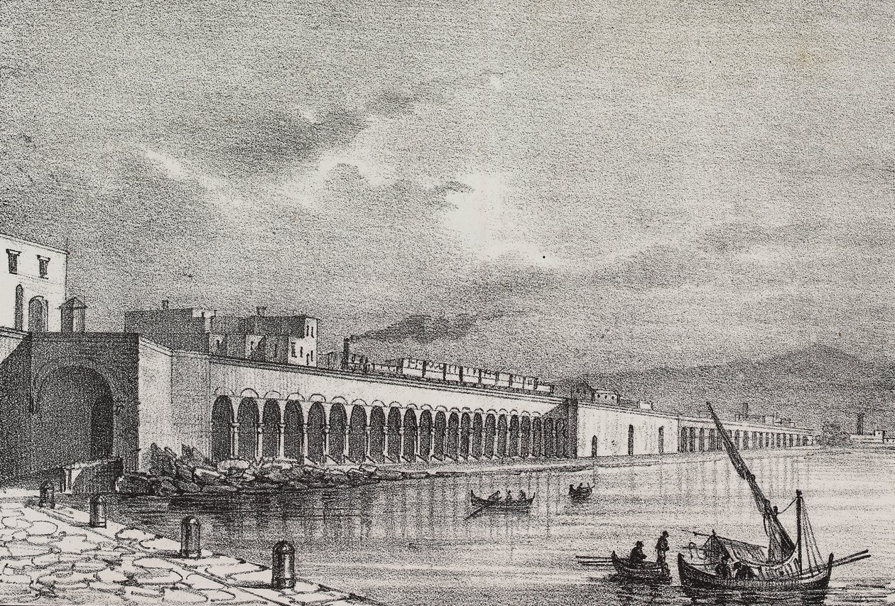 Veduta della ferrovia a Torre Annunziata, Campania, Italia, litografia di Gaetano Riccio da Poliorama Pittoresco, n 21, 31 dicembre da Salvatore Puglia