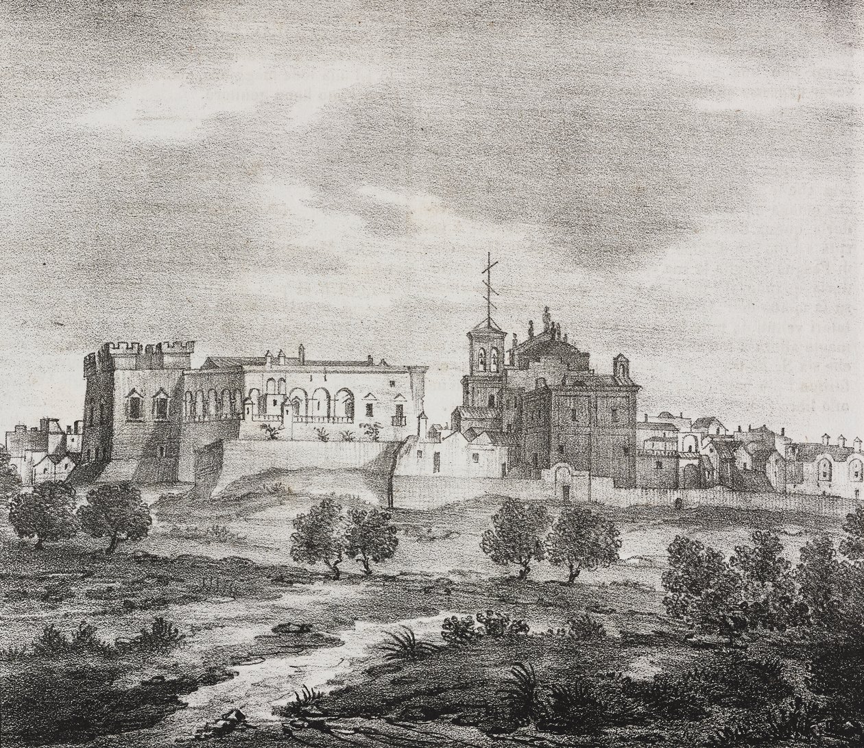 Vista occidentale di Mesagne, Puglia, Italia, litografia di Salvatore Puglia da Poliorama Pittoresco, n. 47, 29 giugno da Salvatore Puglia
