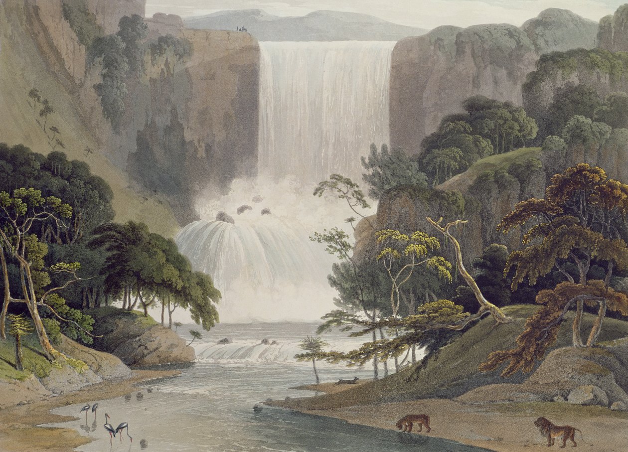 Cascata su Sneuwberg, tavola 25 da 