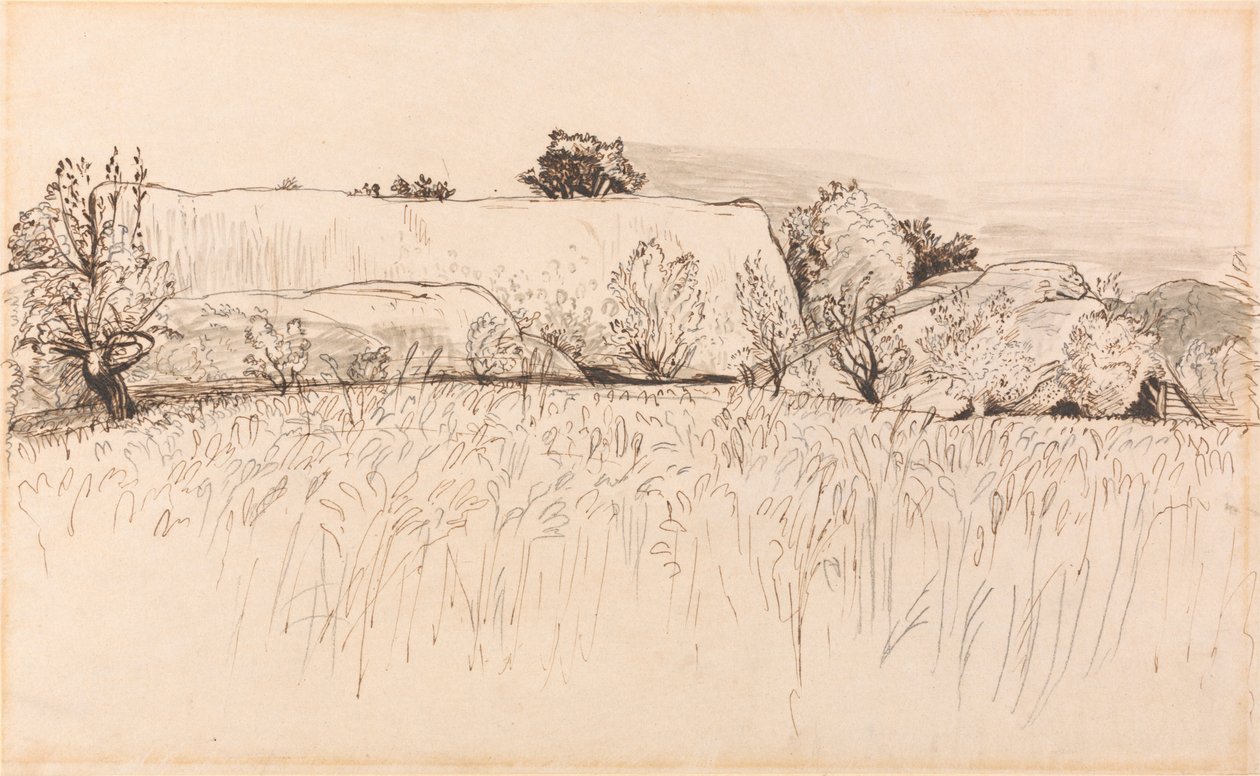 Campi di Grano con Fienile, Shoreham da Samuel Palmer