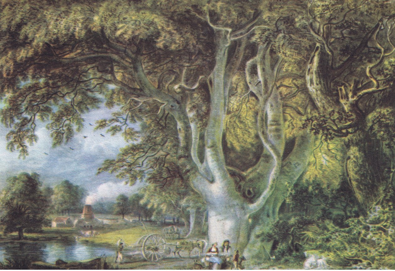 Querce, Shoreham, Kent, Natura in Gran Bretagna pubblicata da Collins, 1946 da Samuel Palmer