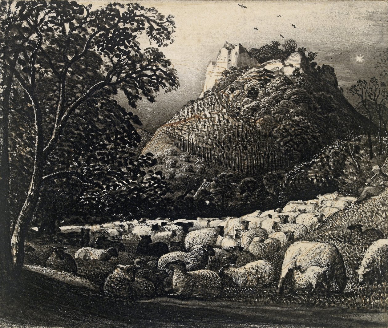 Il gregge e la stella da Samuel Palmer