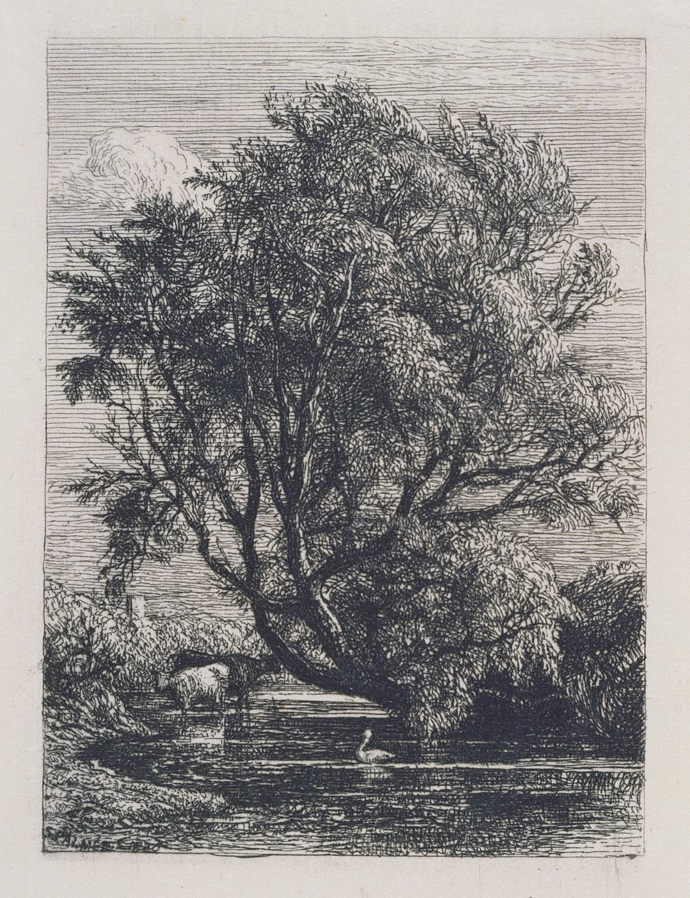 Il salice da Samuel Palmer