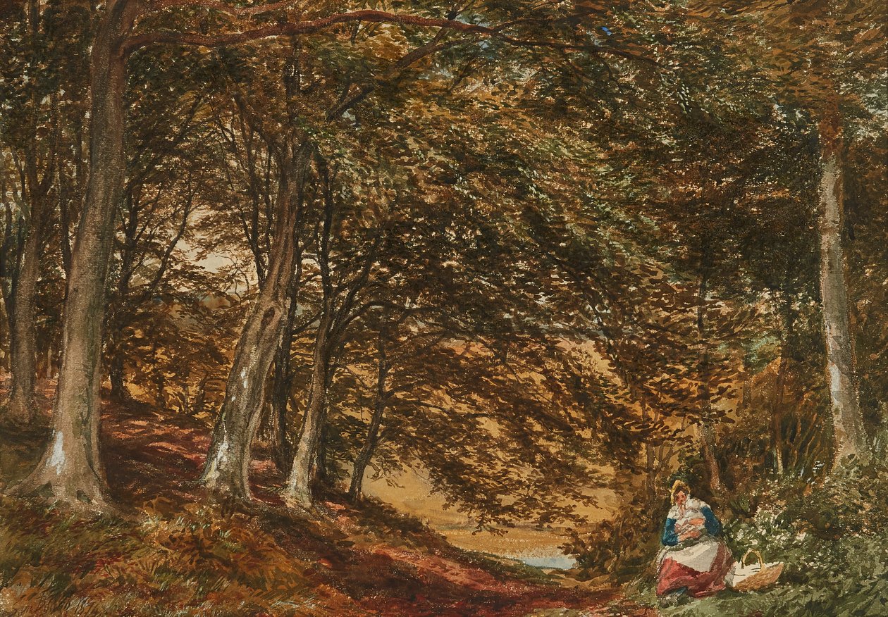 Picnic nel bosco da Samuel Bough