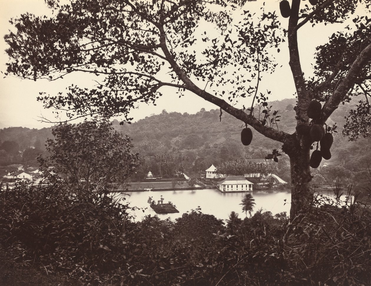 Uno sguardo da Upper Lake Road che mostra il tempio e l