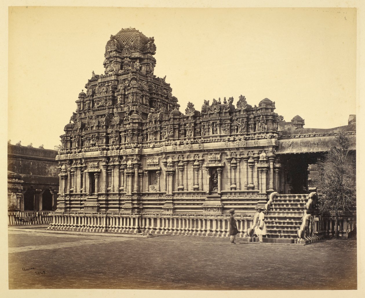 Veduta del Tempio di Subrahmanya vicino alla Pagoda, Tanjore da Samuel Bourne