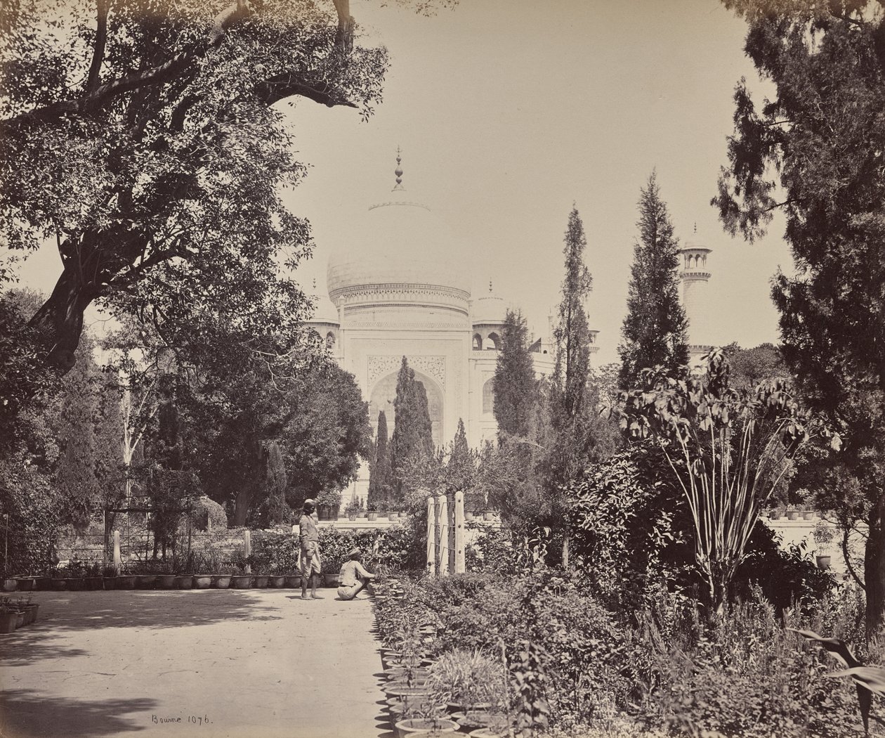 Agra. Veduta del Taj dal giardino da Samuel Bourne