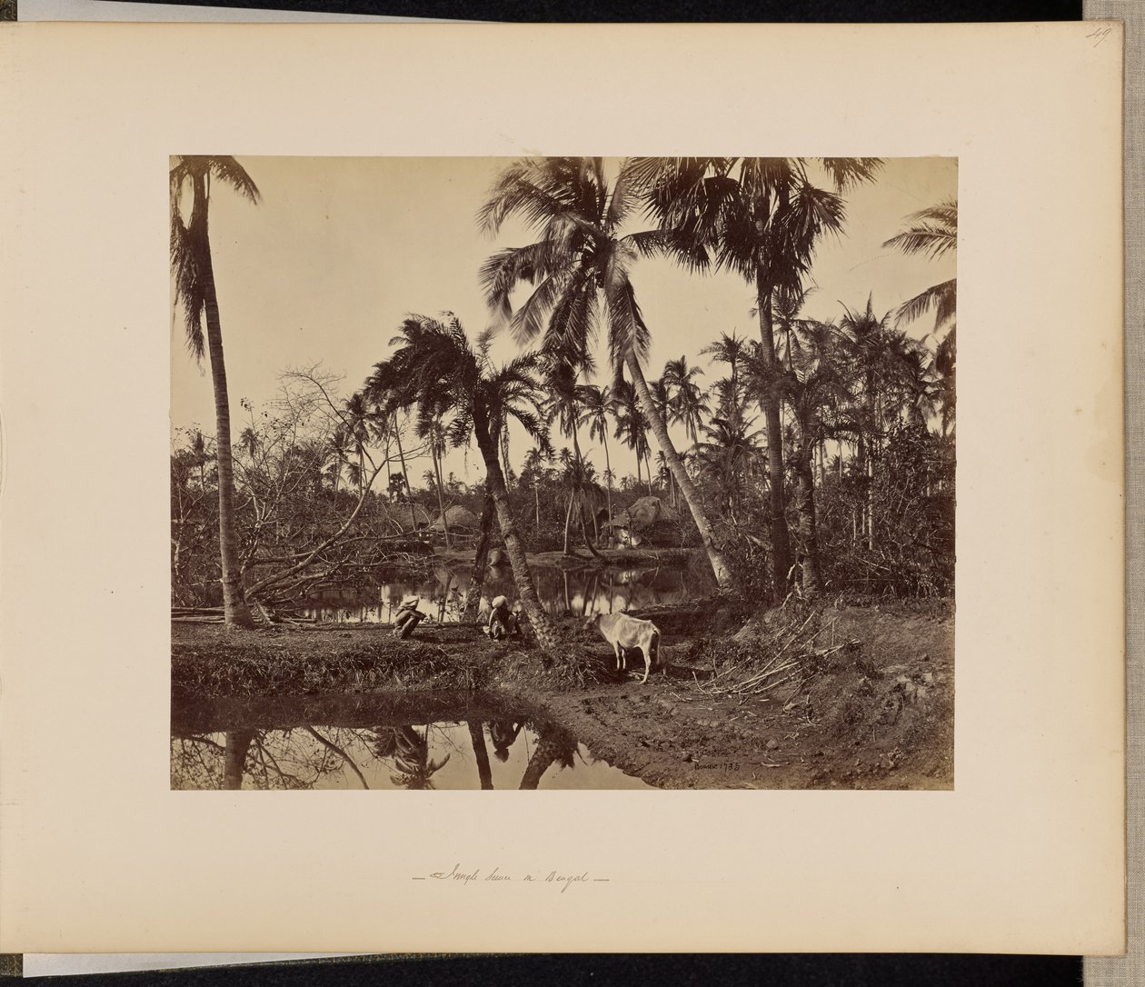 Calcutta; Scene rustiche e vita rurale nel Bengala da Samuel Bourne