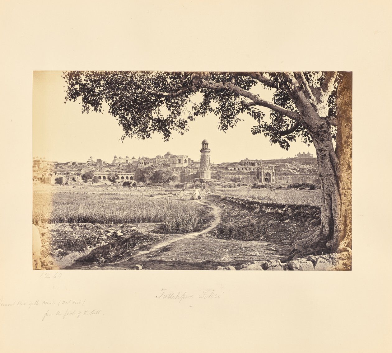 Fatehpur Sikri; veduta generale delle rovine (lato ovest), dal piede della collina da Samuel Bourne