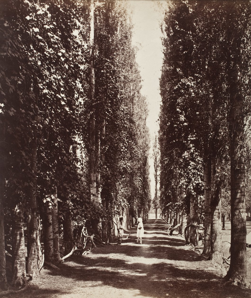 India da Samuel Bourne