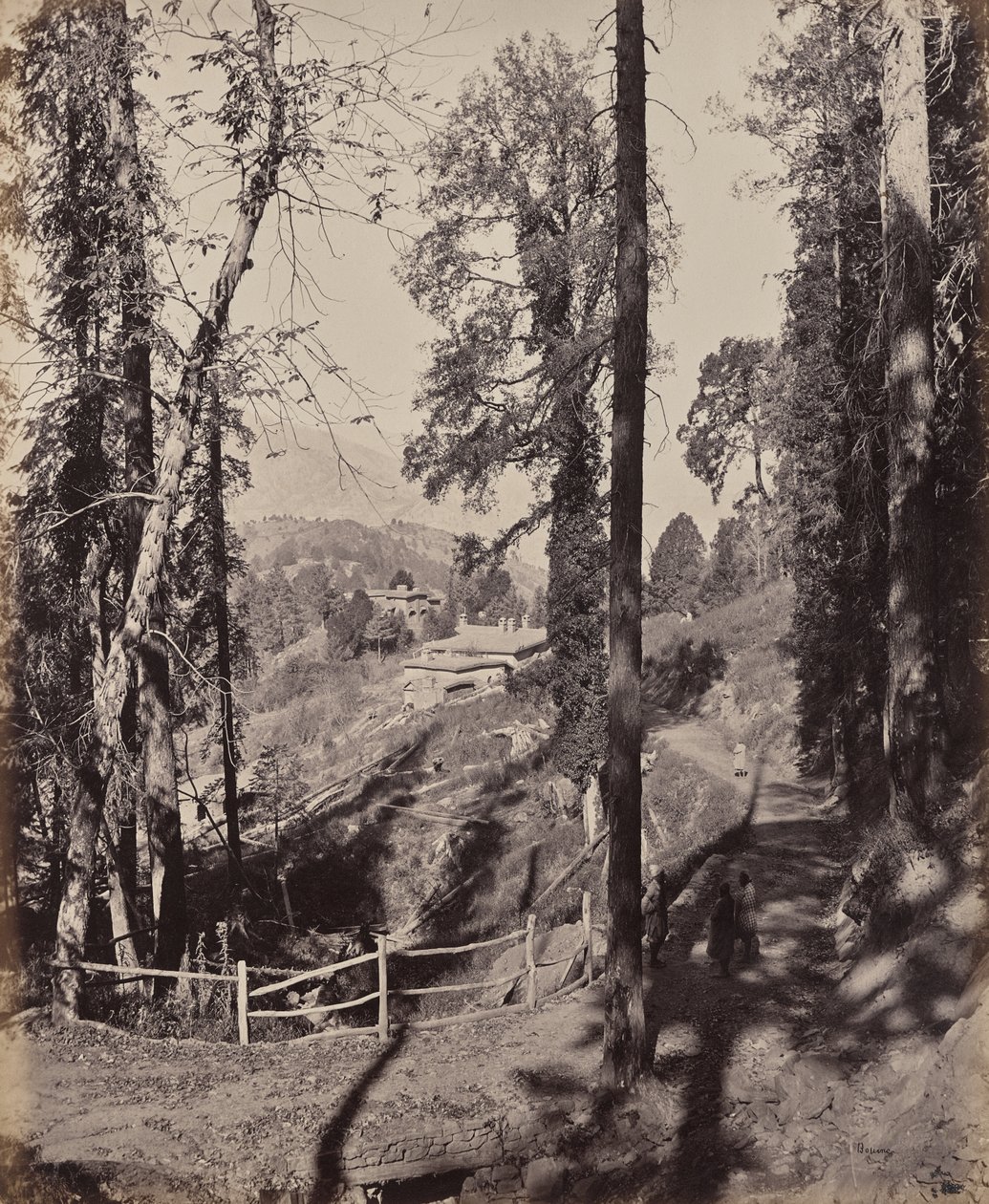 Murree. Una stazione di montagna nell’Himalaya, veduta attraverso la foresta da Samuel Bourne