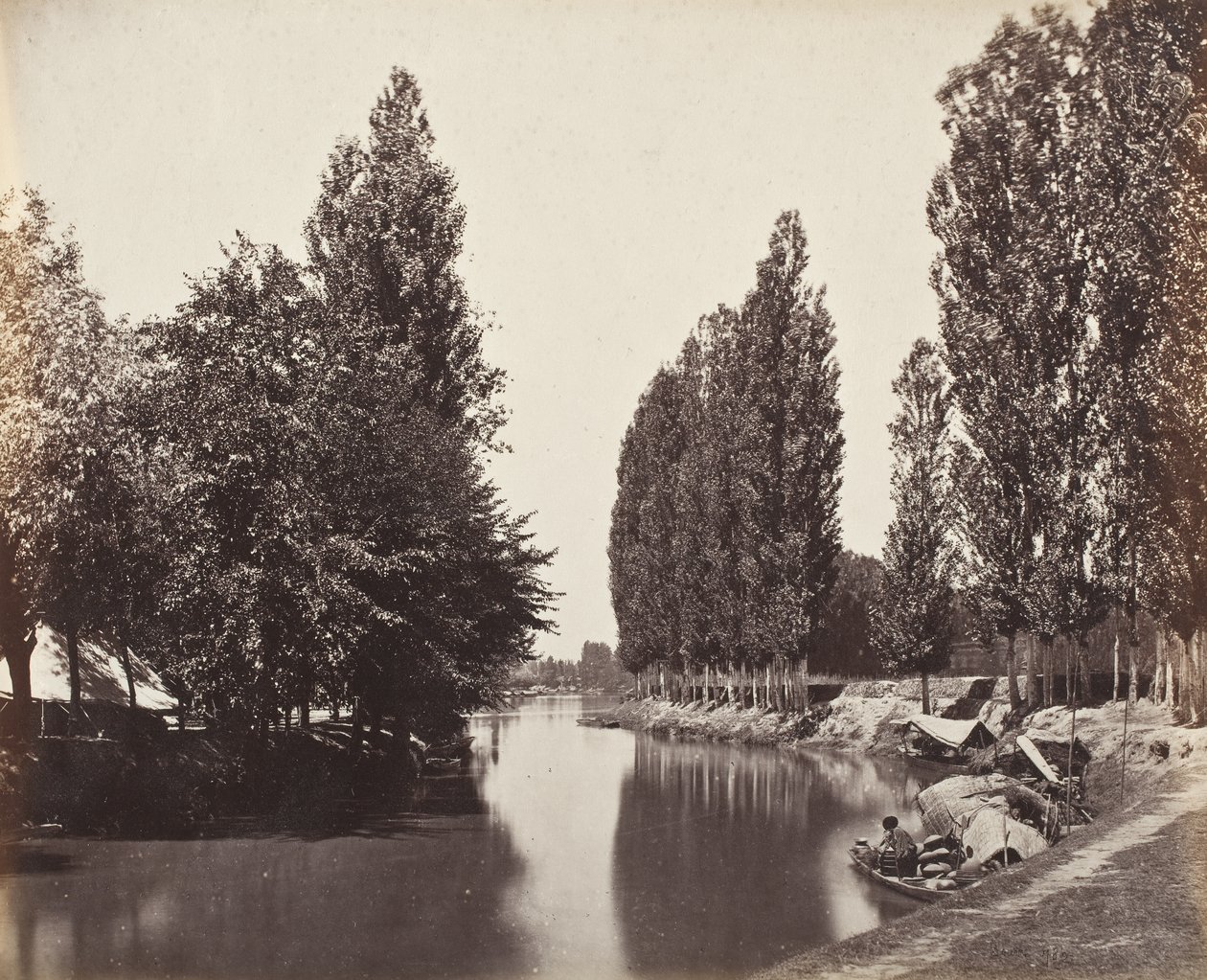 Fiume con alberi (India) da Samuel Bourne