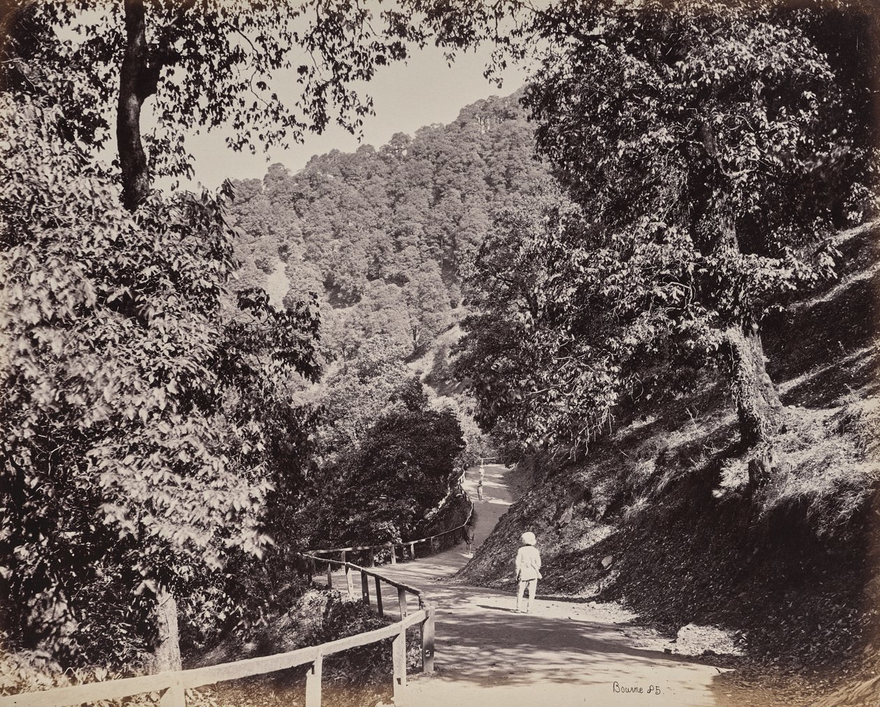 Shimla. Il viale presso Rabq Lodge da Samuel Bourne