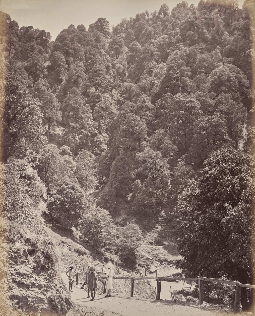 Shimla. Vista verso nord del monte Jakko da Samuel Bourne