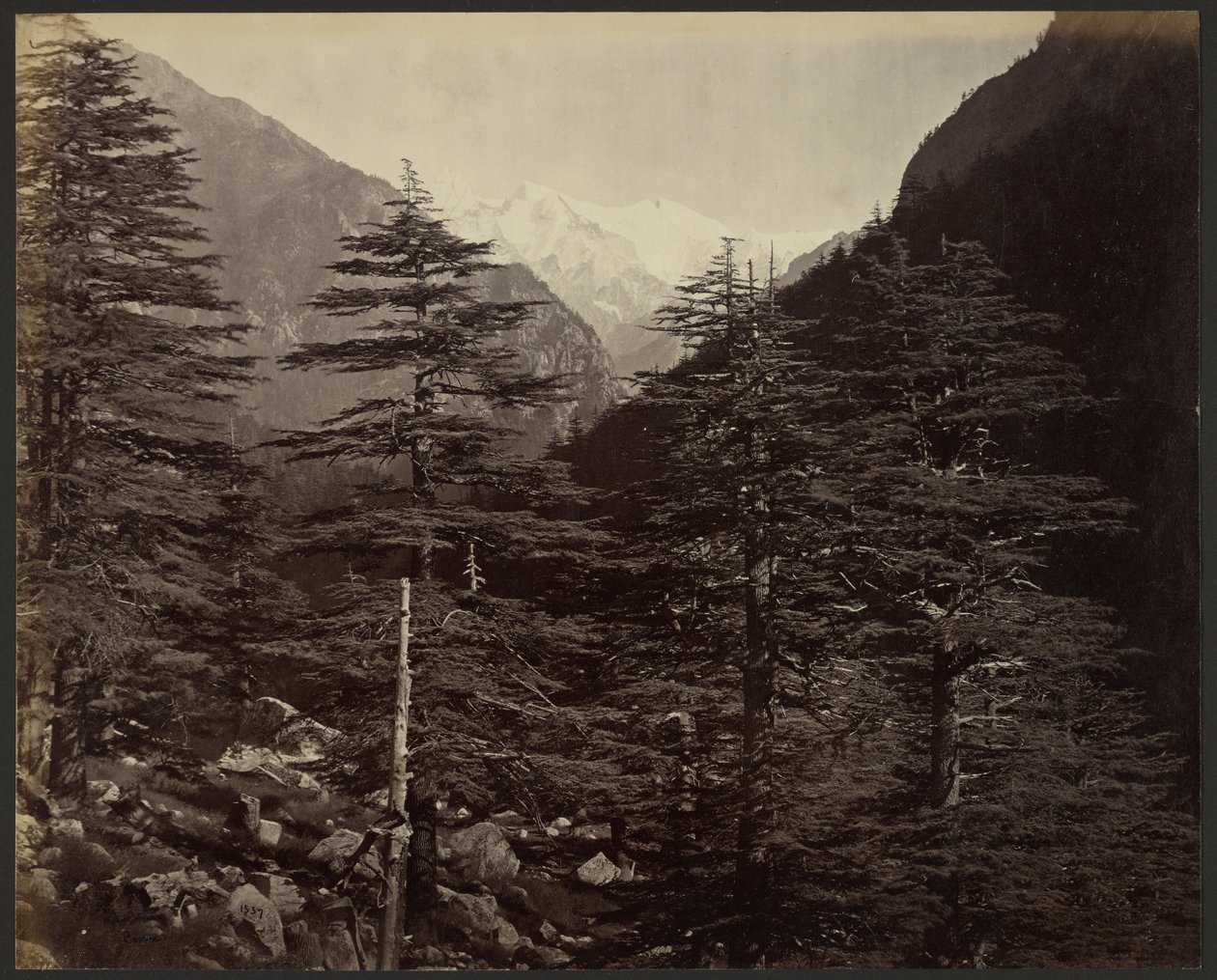 Cime innevate vicino a Gangotri, da Bhairamghati da Samuel Bourne