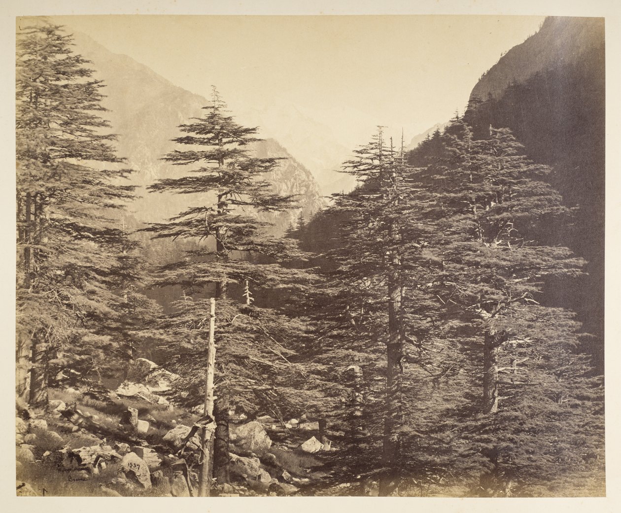 Picchi innevati vicino a Gangootri da Bhairamghati da Samuel Bourne