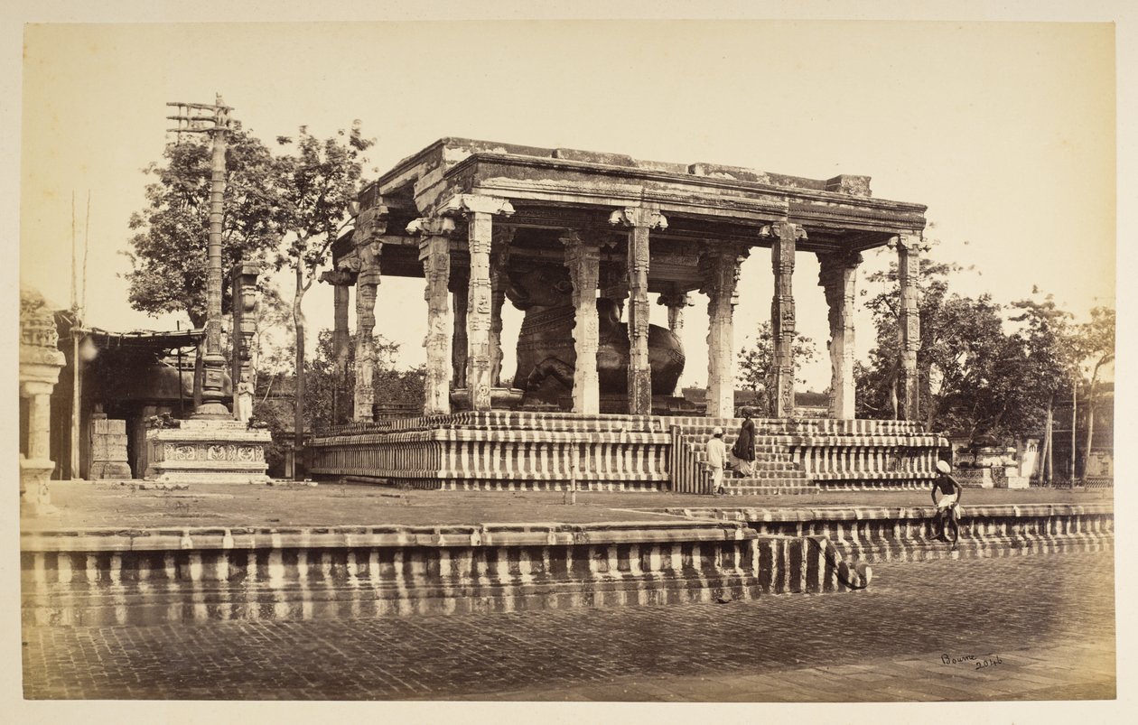 Il grande toro di pietra, Tanjore da Samuel Bourne