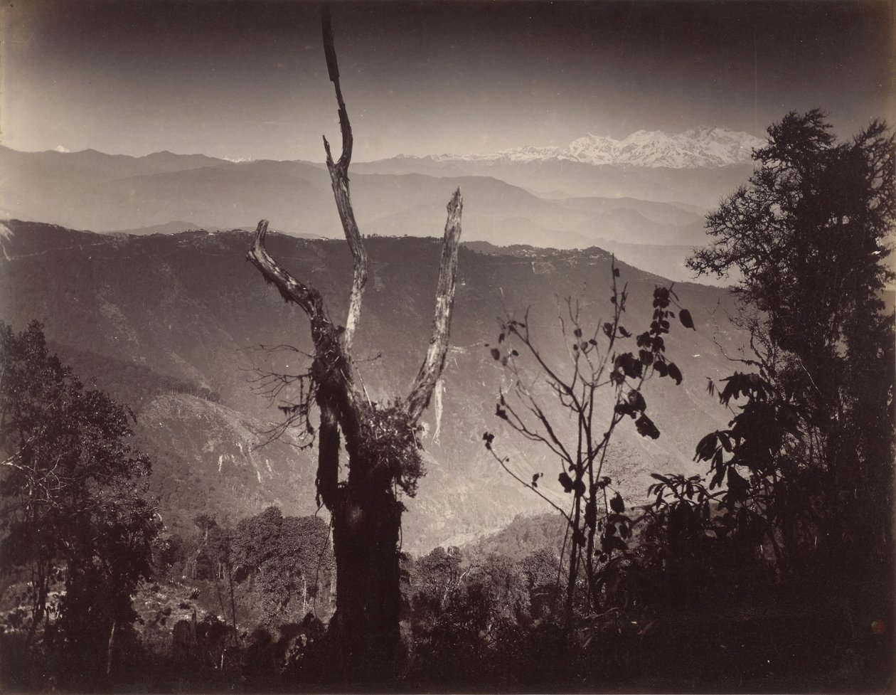 Veduta da Senchal da Samuel Bourne