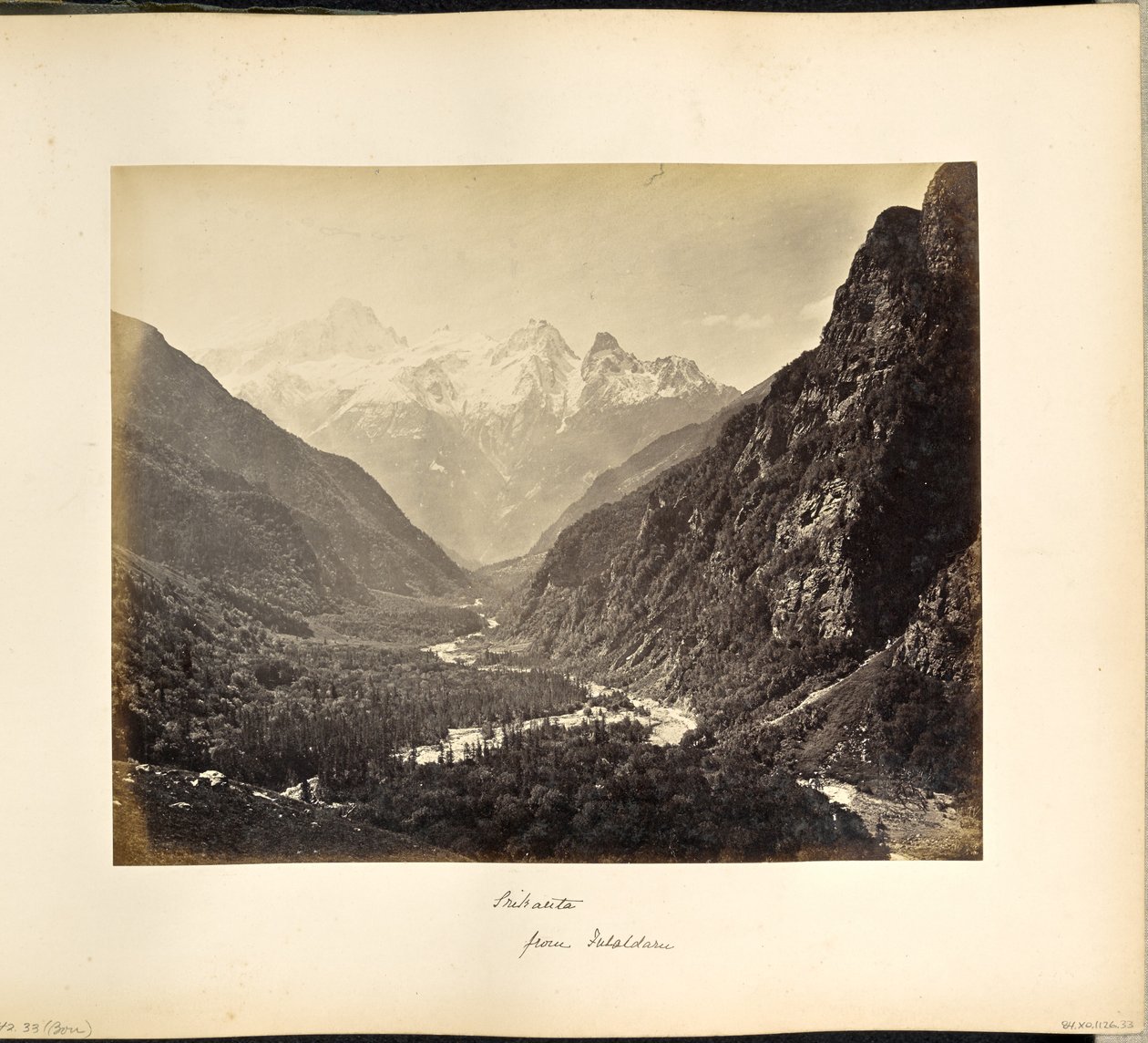 Valle boscosa da Fulaldaru, con le vette di Srikanta in lontananza da Samuel Bourne