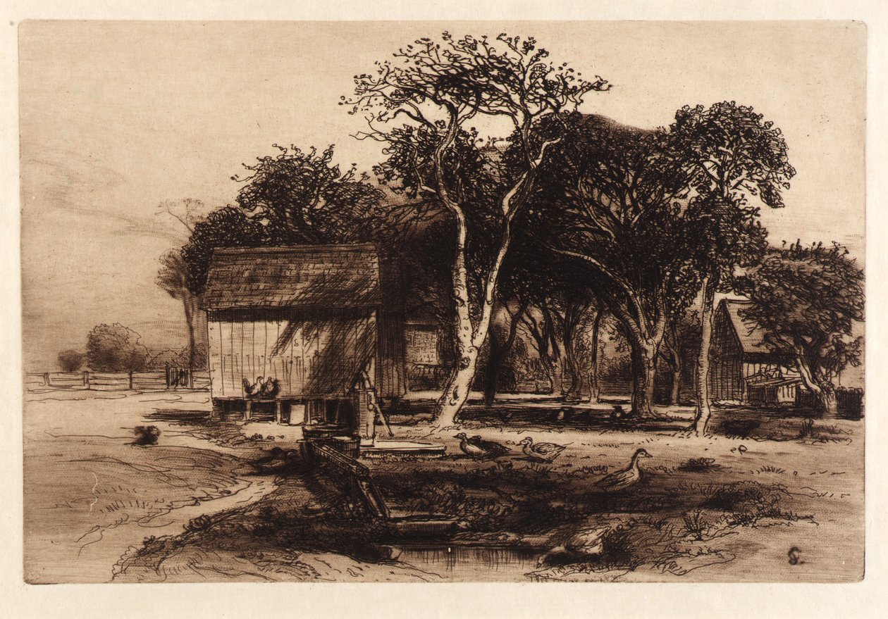 (Senza titolo) da Samuel Colman