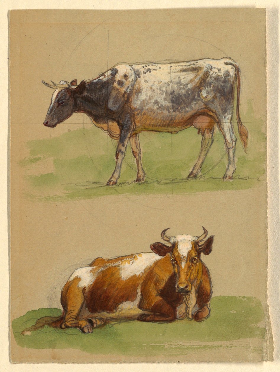 Disegno, Bovini, una mucca che cammina e una mucca accovacciata, 1875-80 da Samuel Colman