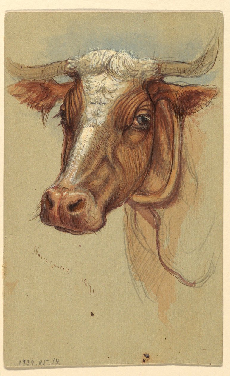 Disegno, Schizzi da Narragansett, Rhode Island, 1871 da Samuel Colman