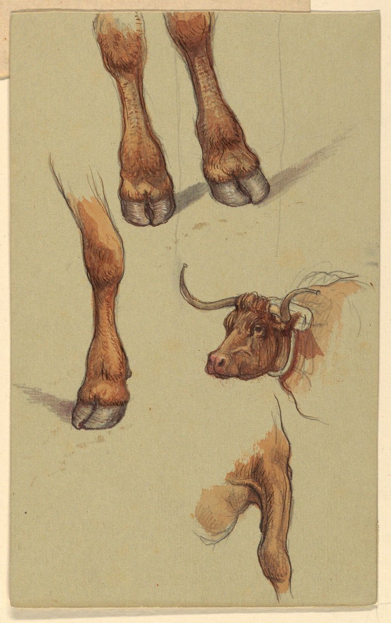 Disegno, Schizzi da Narragensett, Rhode Island., 1871 da Samuel Colman