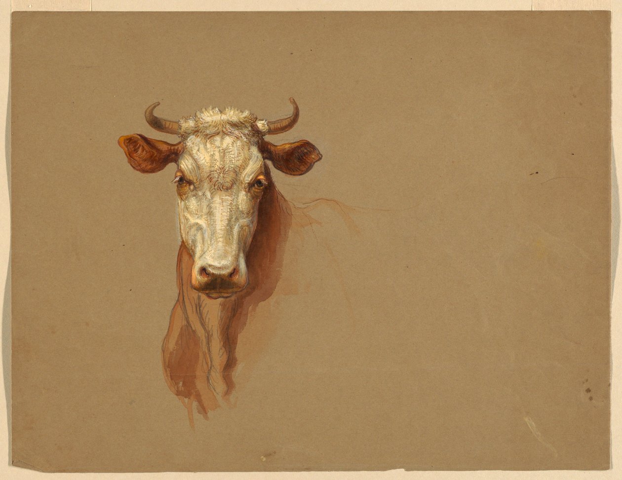 Disegno, Due studi.  Bestiame, 1876 da Samuel Colman