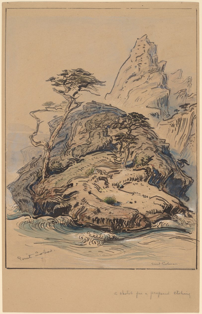 Point Lobos, California da Samuel Colman